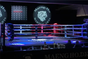 Nærbillede af boksering med Maeng-Ho logo og opsætning til professionel kampsportsevent.